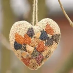 Colorful bird seed ornaments hanging from a tree attracting wild birds.